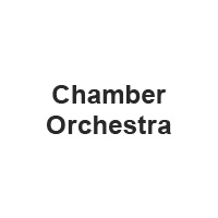 Chamber Orchestra (チャンバー・オーケストラ)